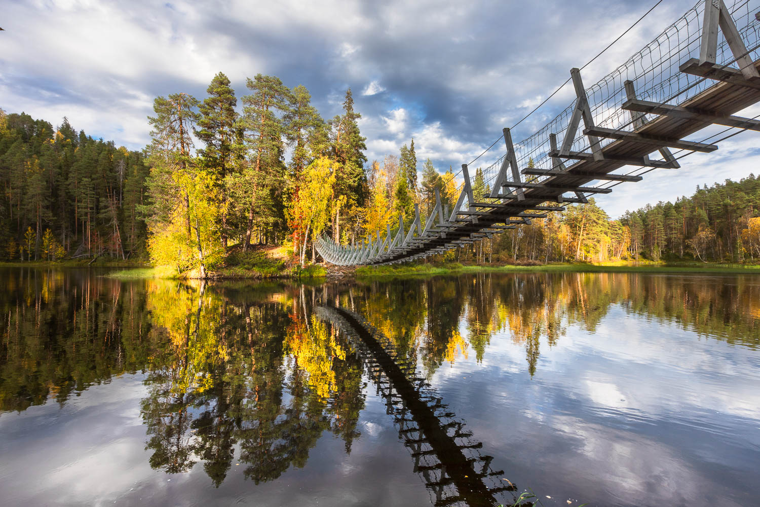 autumn bridge